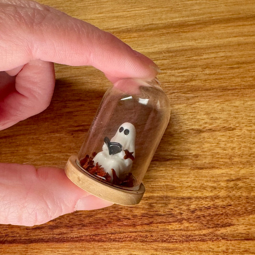 Little Glass Dome - Reading Ghost