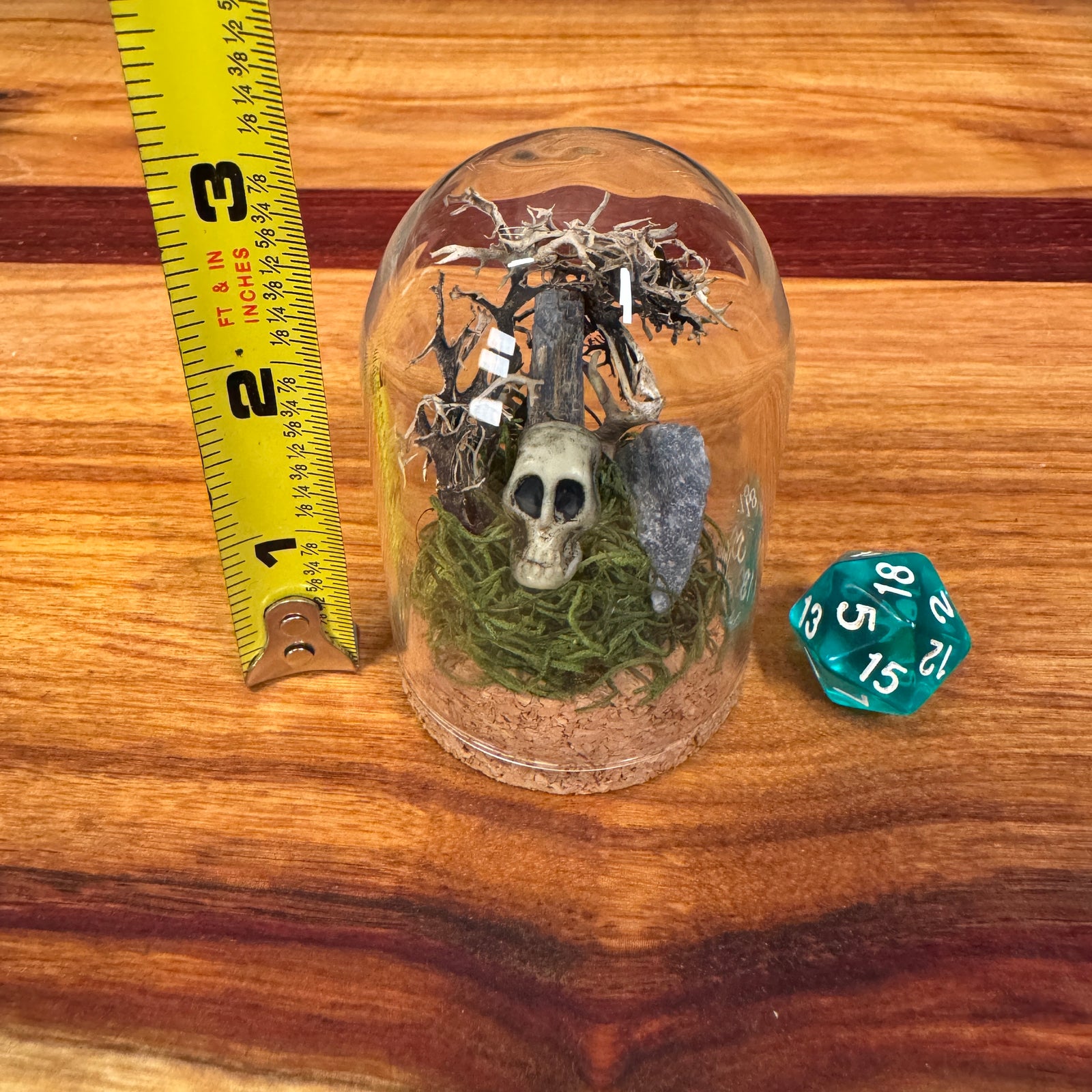 Small Glass Dome - Crystals and Skull