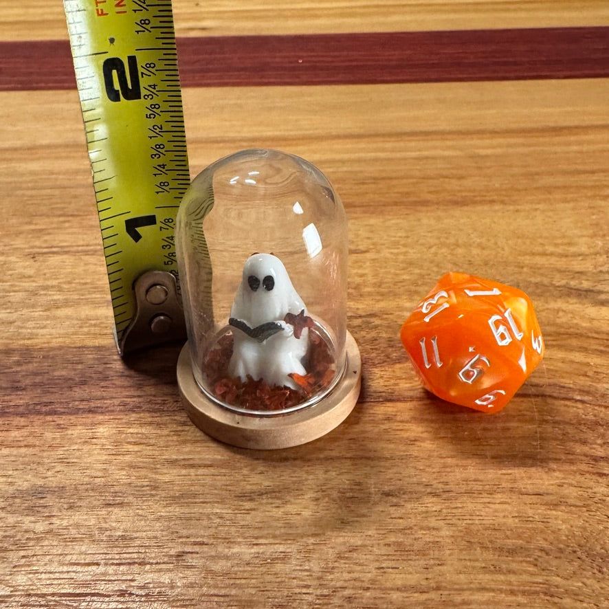 Little Glass Dome - Reading Ghost