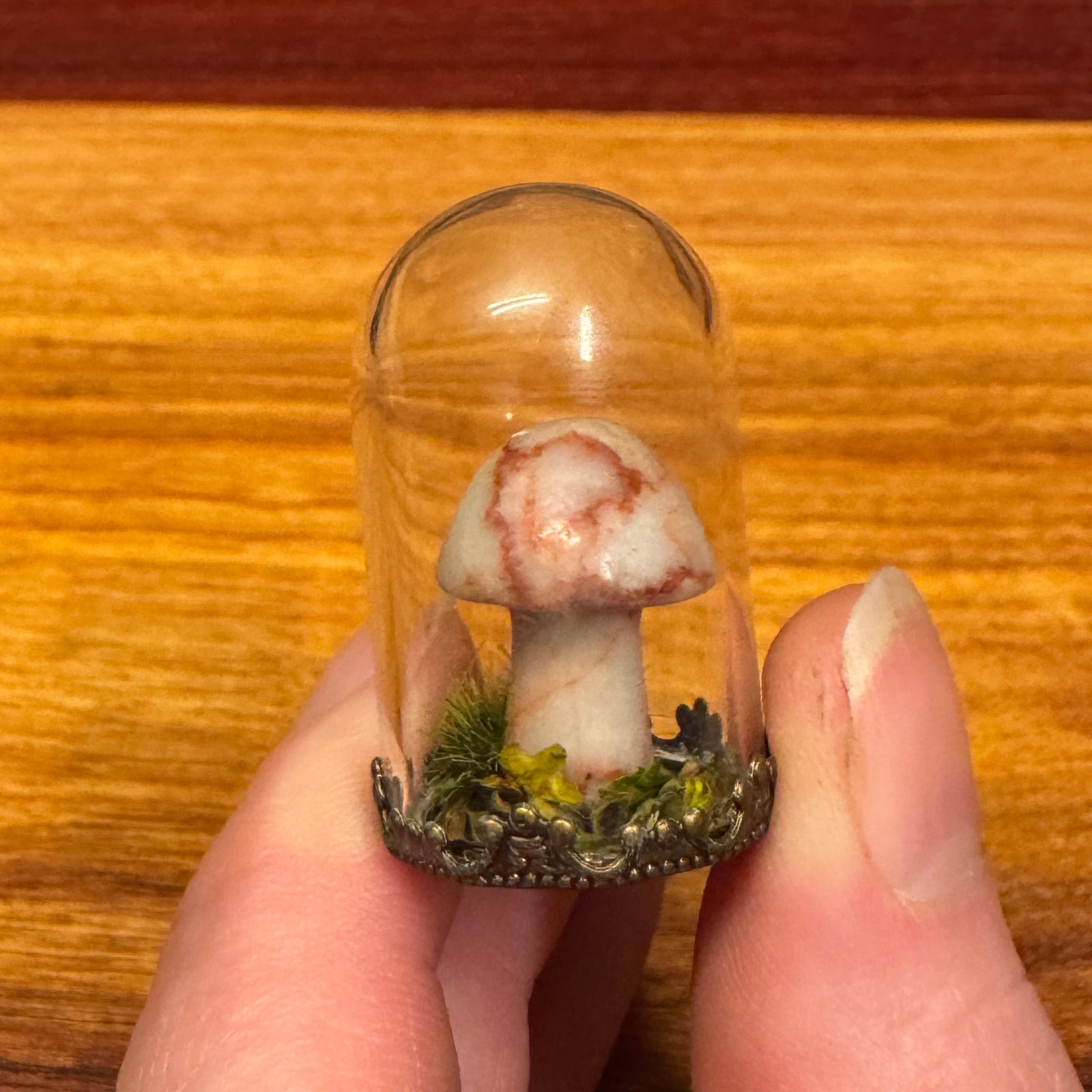 Tiny Glass Dome - Stone Mushroom