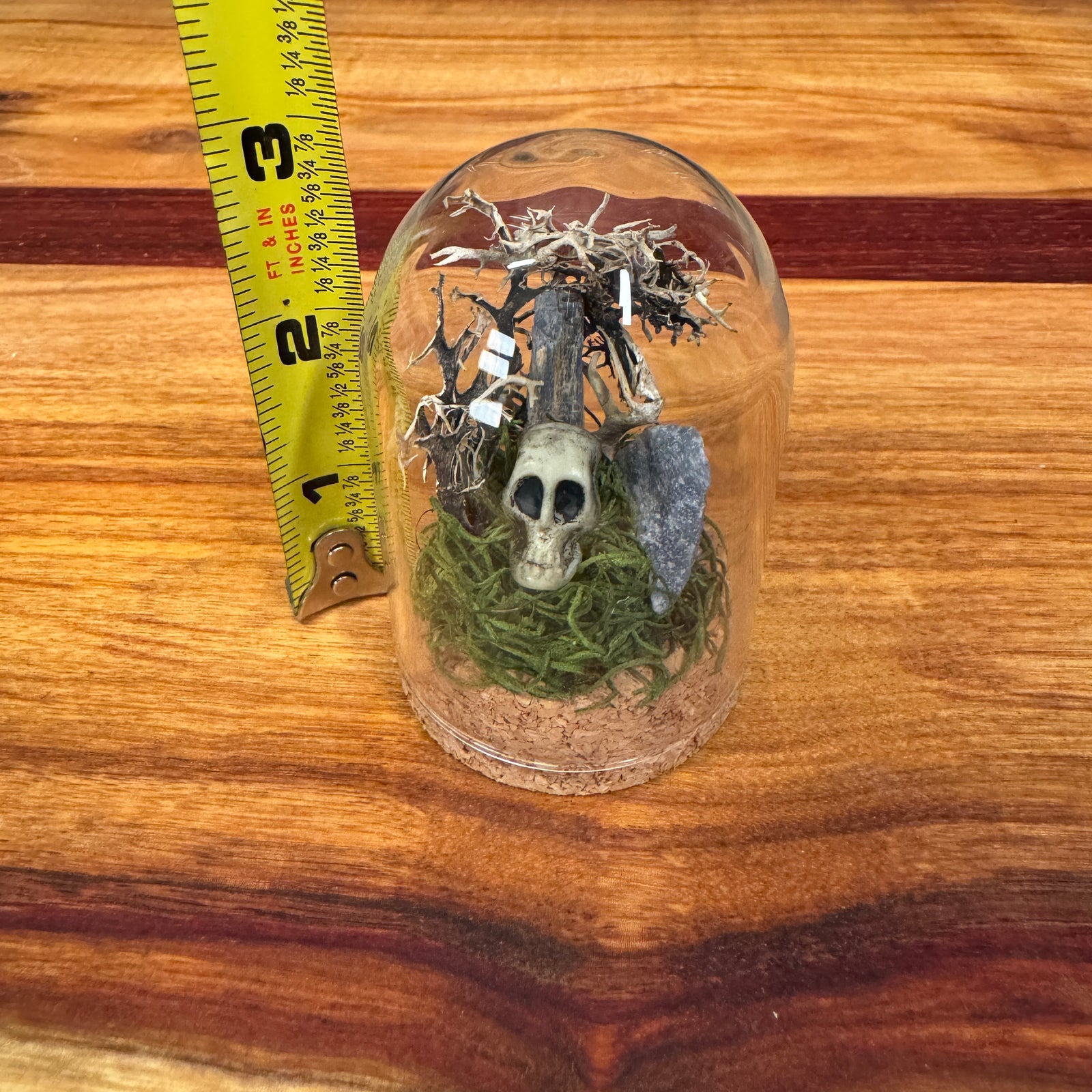 Small Glass Dome - Crystals and Skull