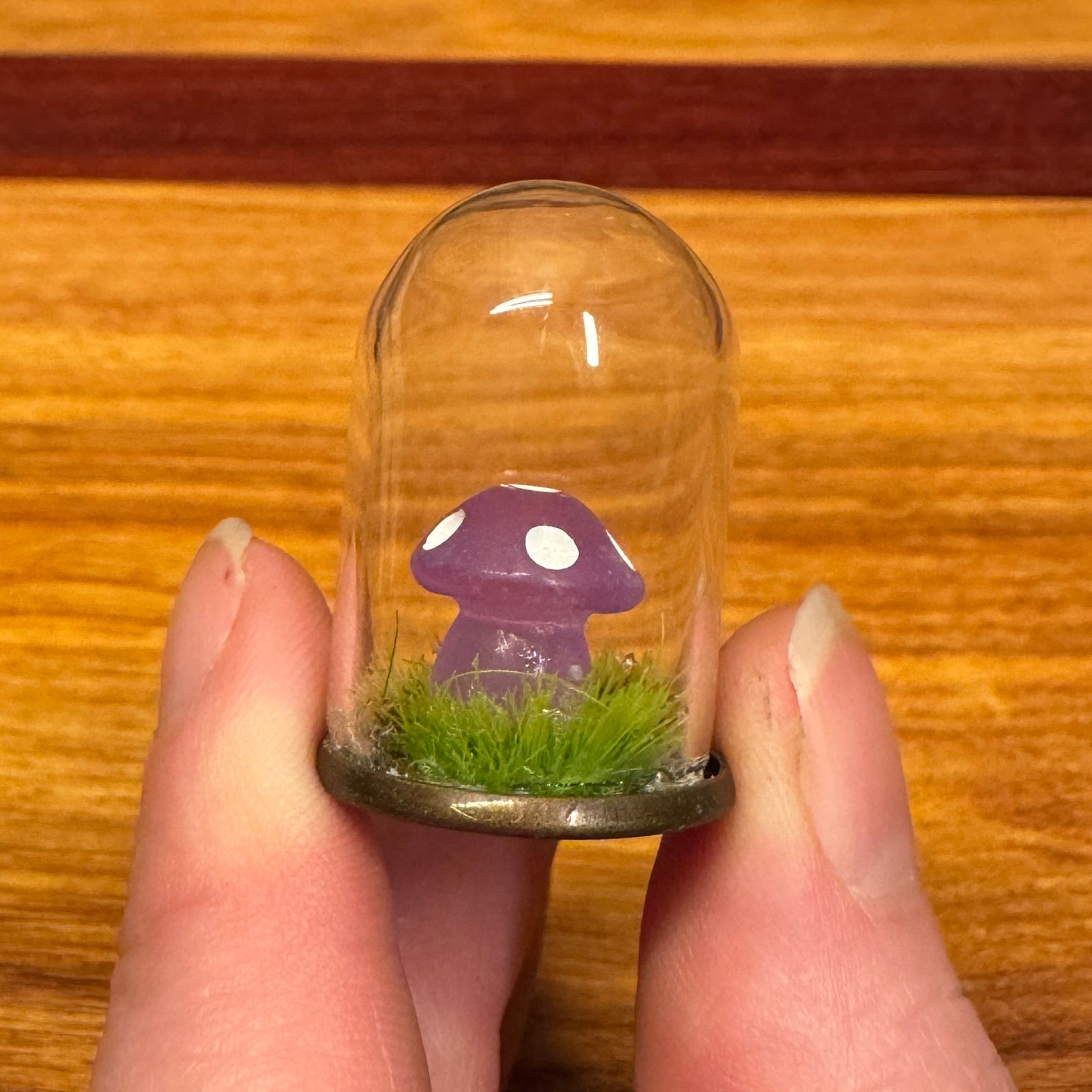 Tiny Glass Dome - Tiny Mushroom in grass