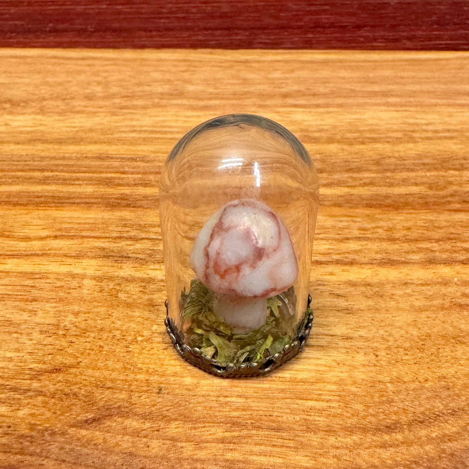 Tiny Glass Dome - Stone Mushroom