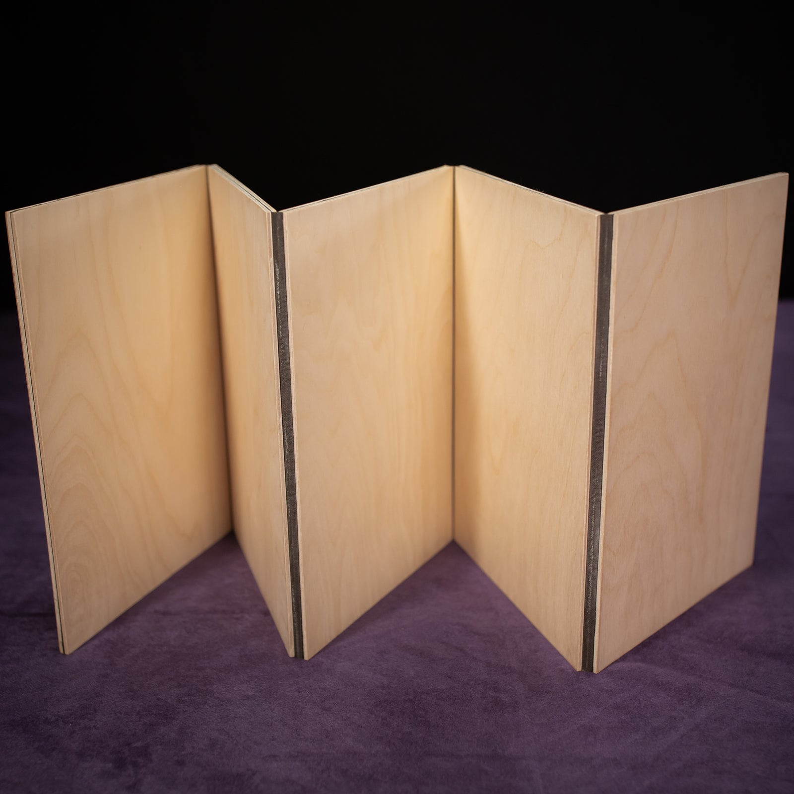 Dungeon Master / Game Master Screen