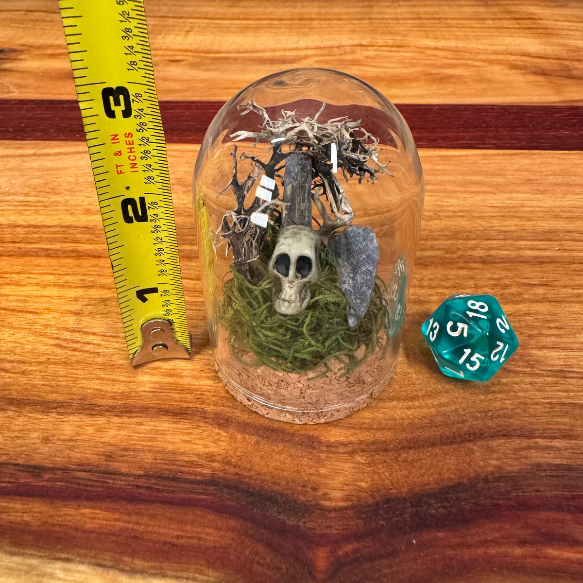 Small Glass Dome - Crystals and Skull