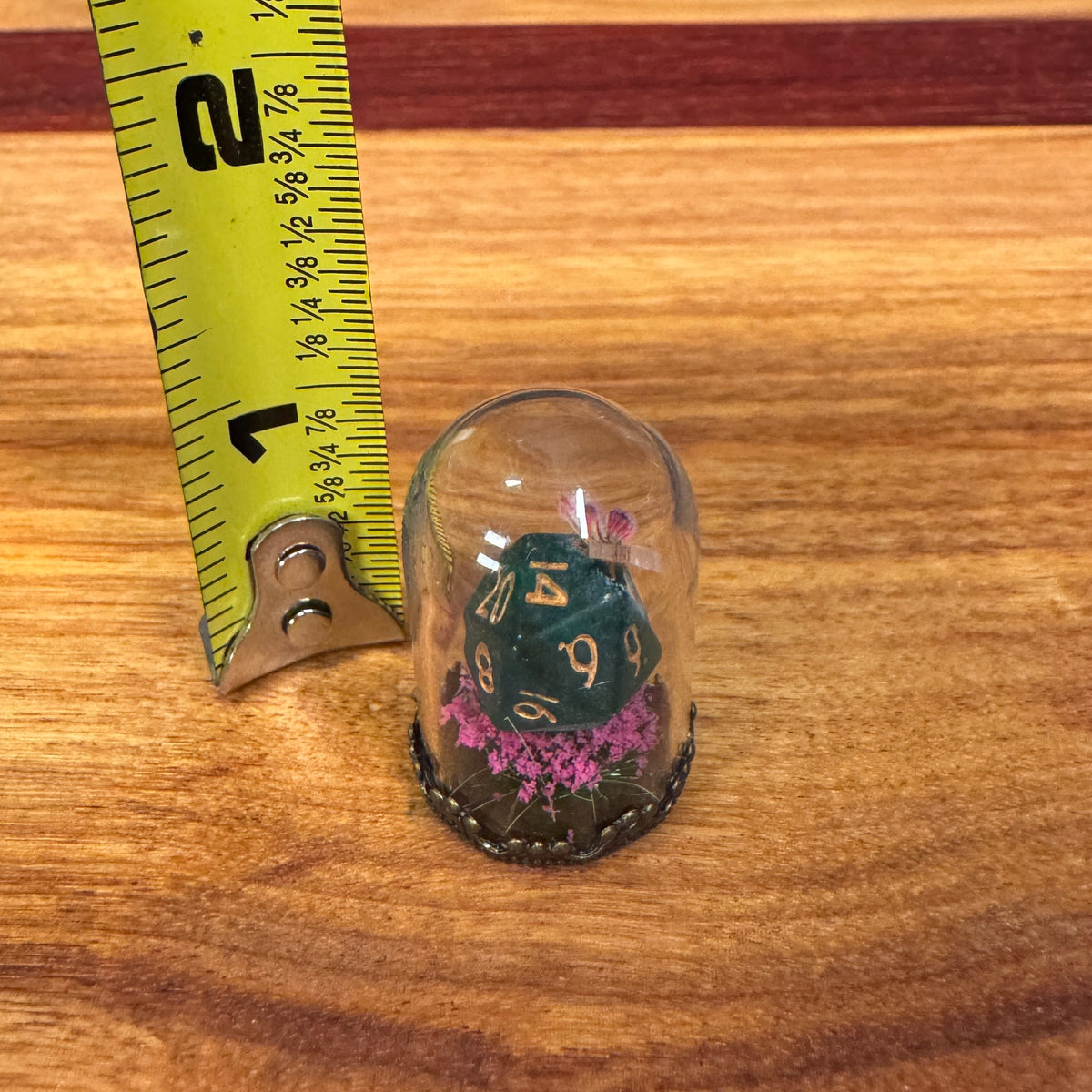 Tiny Glass Dome - Mini D20 with butterfly