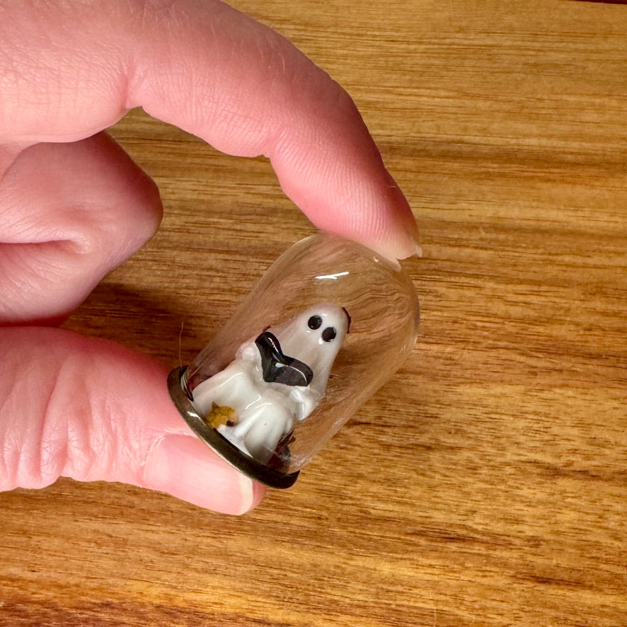 Tiny Glass Dome - Reading Ghost