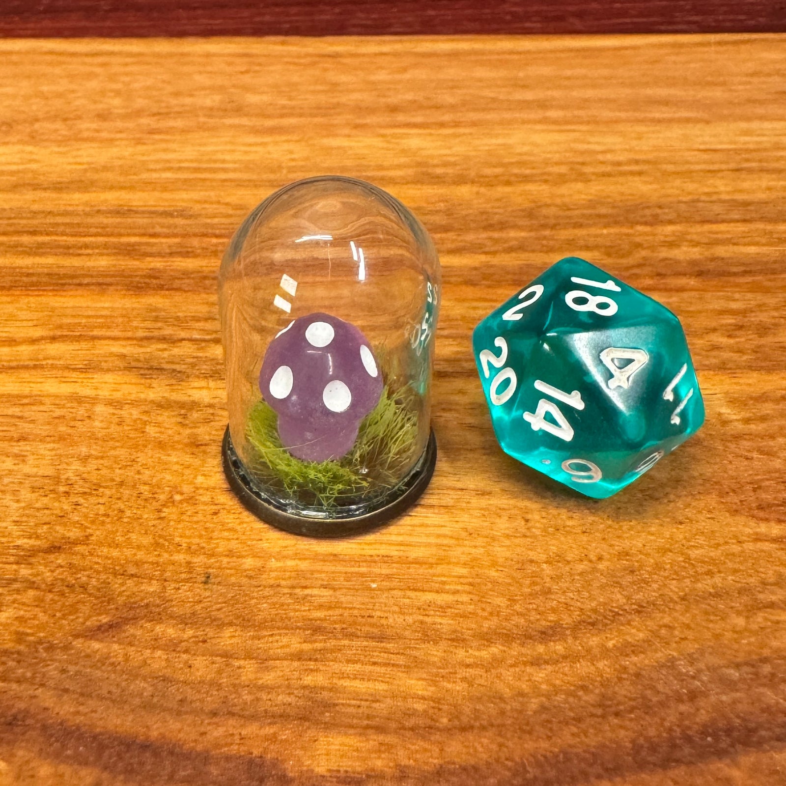 Tiny Glass Dome - Tiny Mushroom in grass