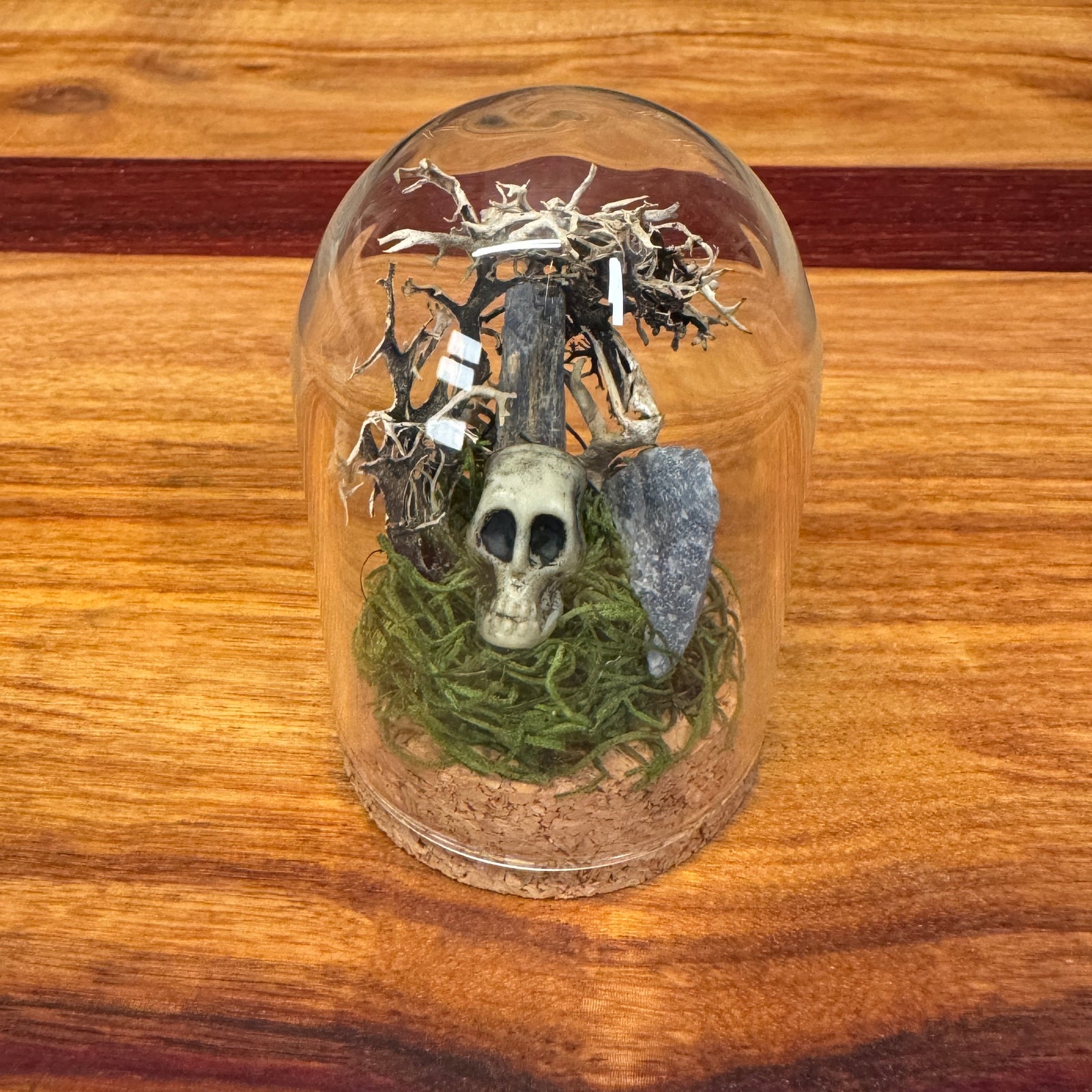Small Glass Dome - Crystals and Skull