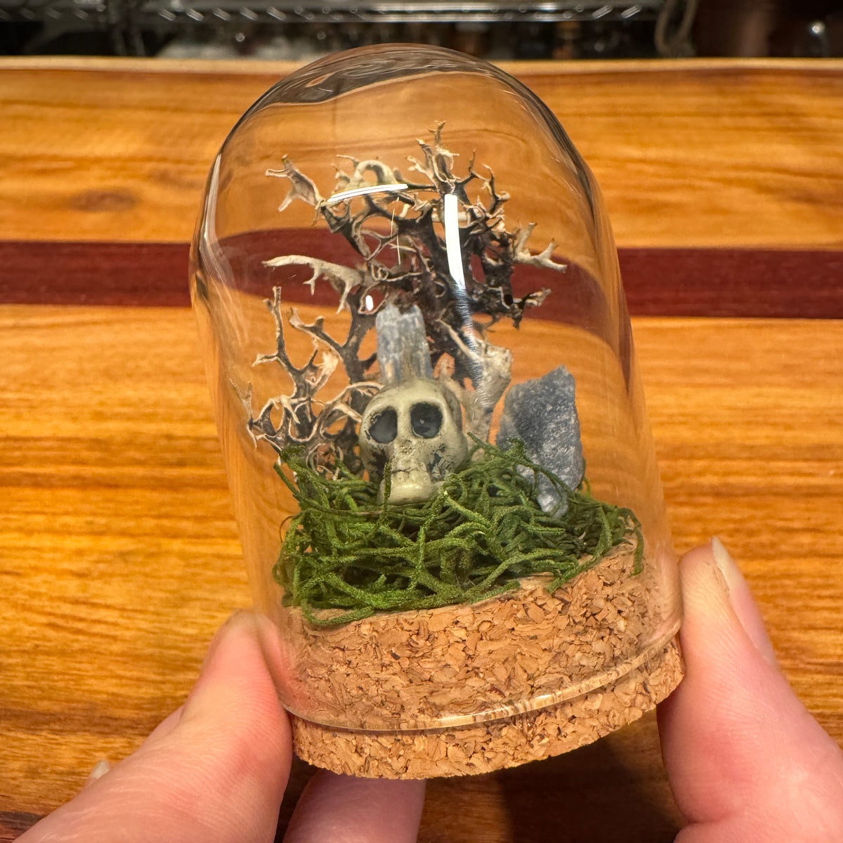 Small Glass Dome - Crystals and Skull