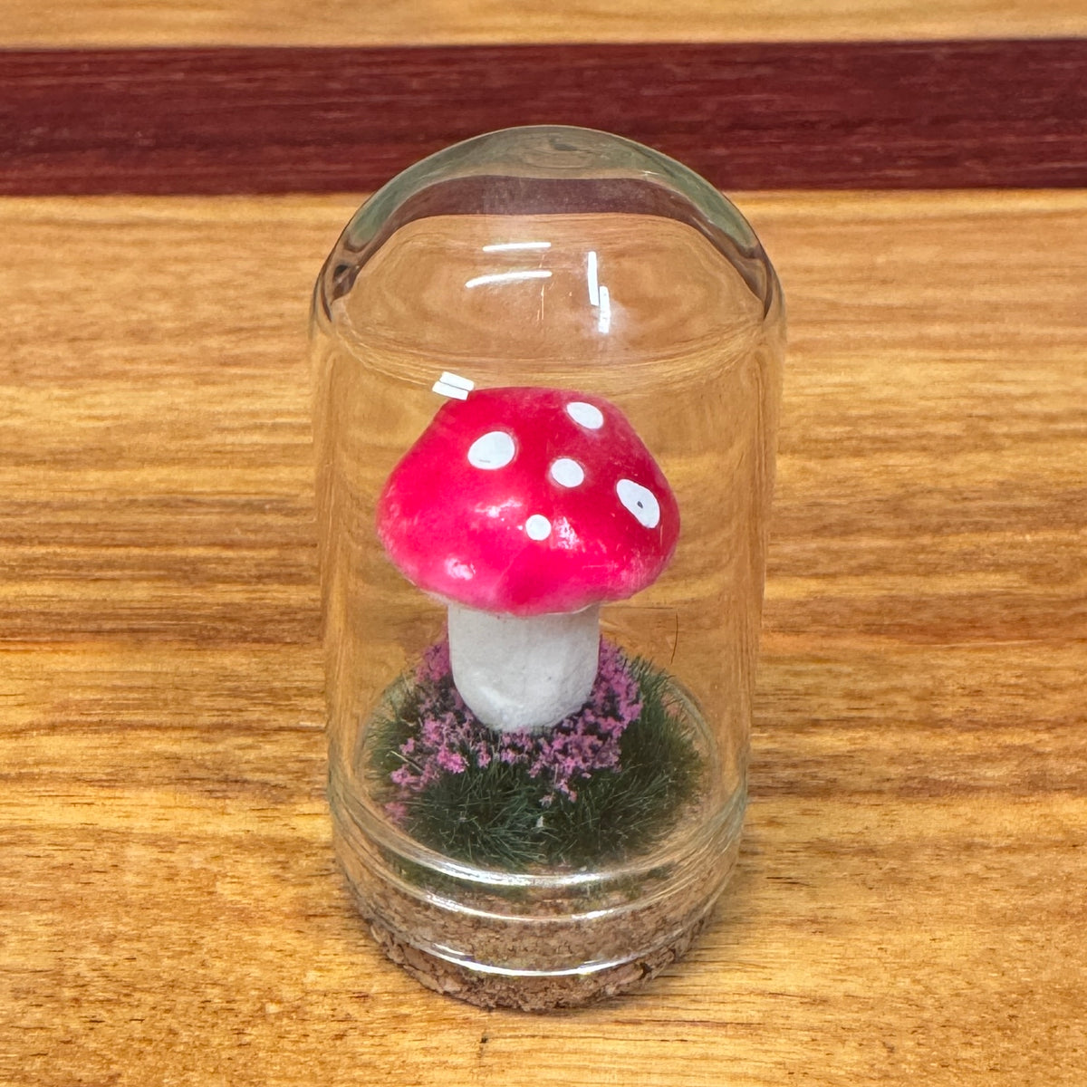 Little Glass Dome - mushroom on cork