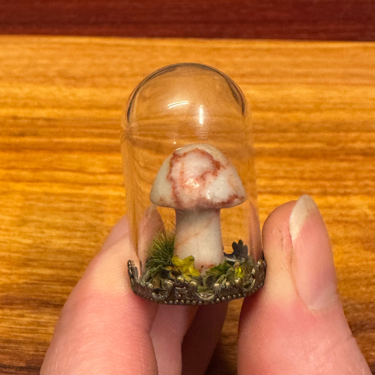 Tiny Glass Dome - Stone Mushroom