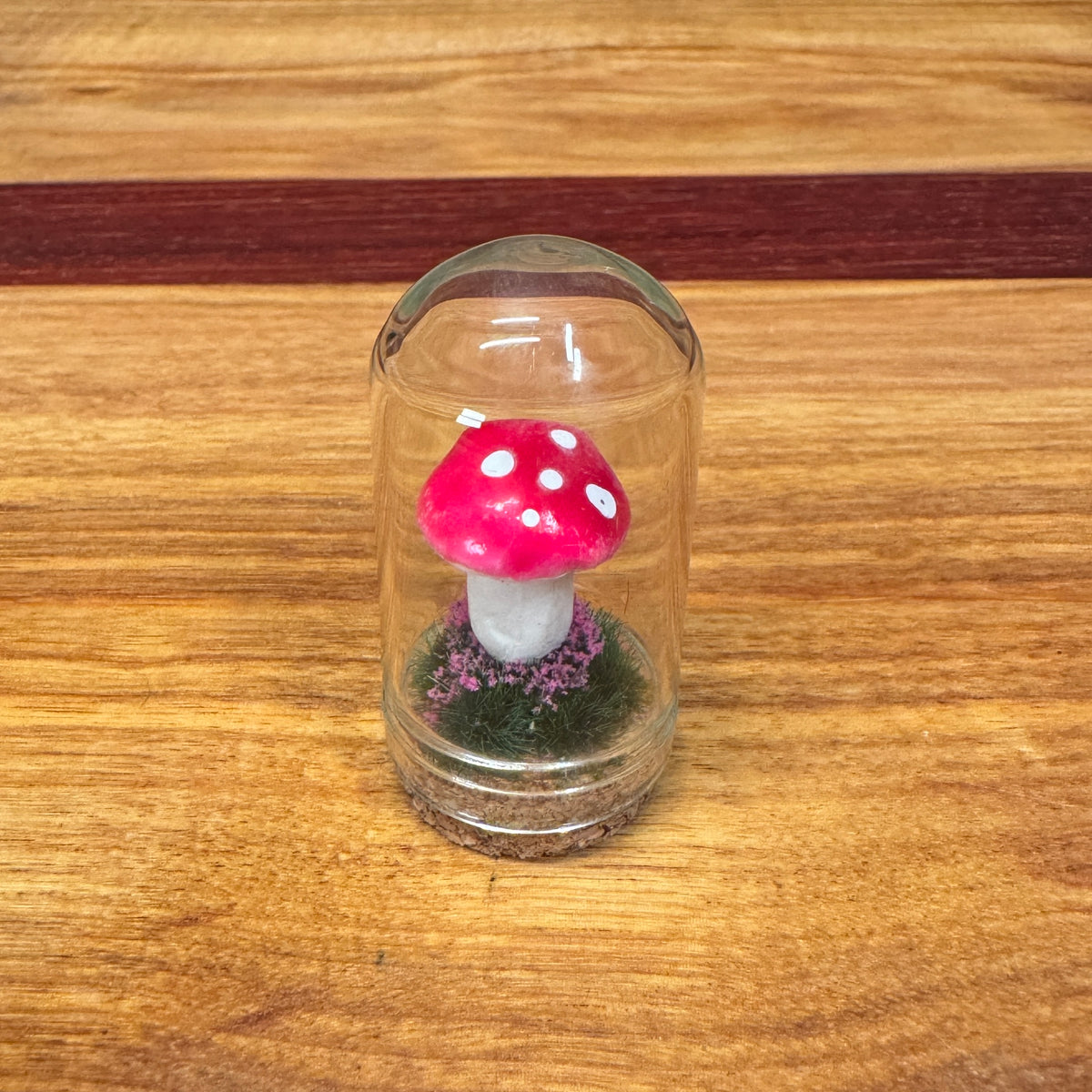 Little Glass Dome - mushroom on cork