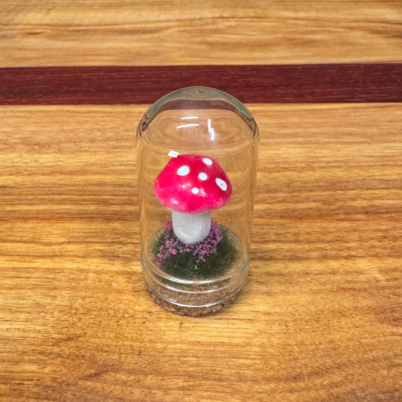Little Glass Dome - mushroom on cork