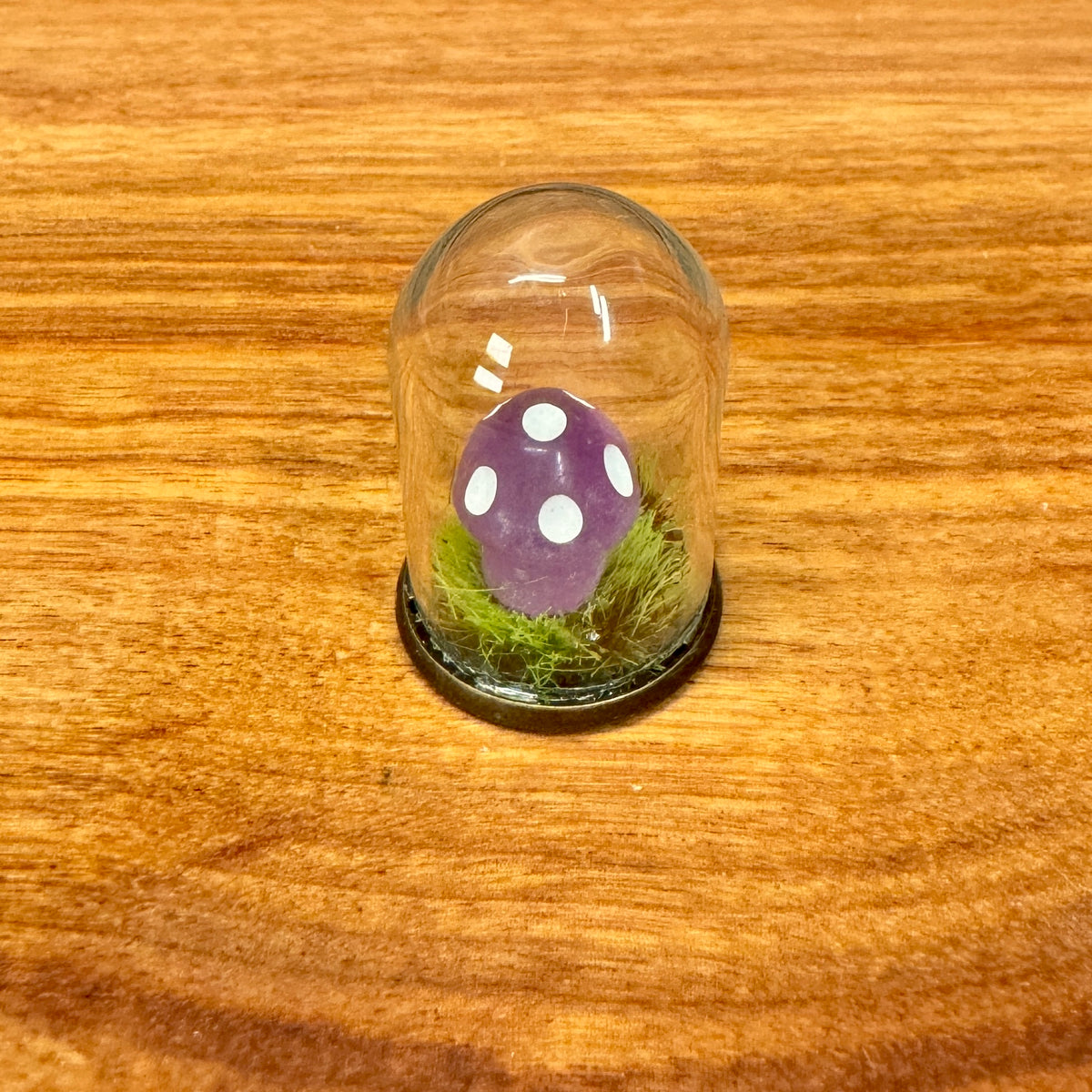 Tiny Glass Dome - Tiny Mushroom in grass