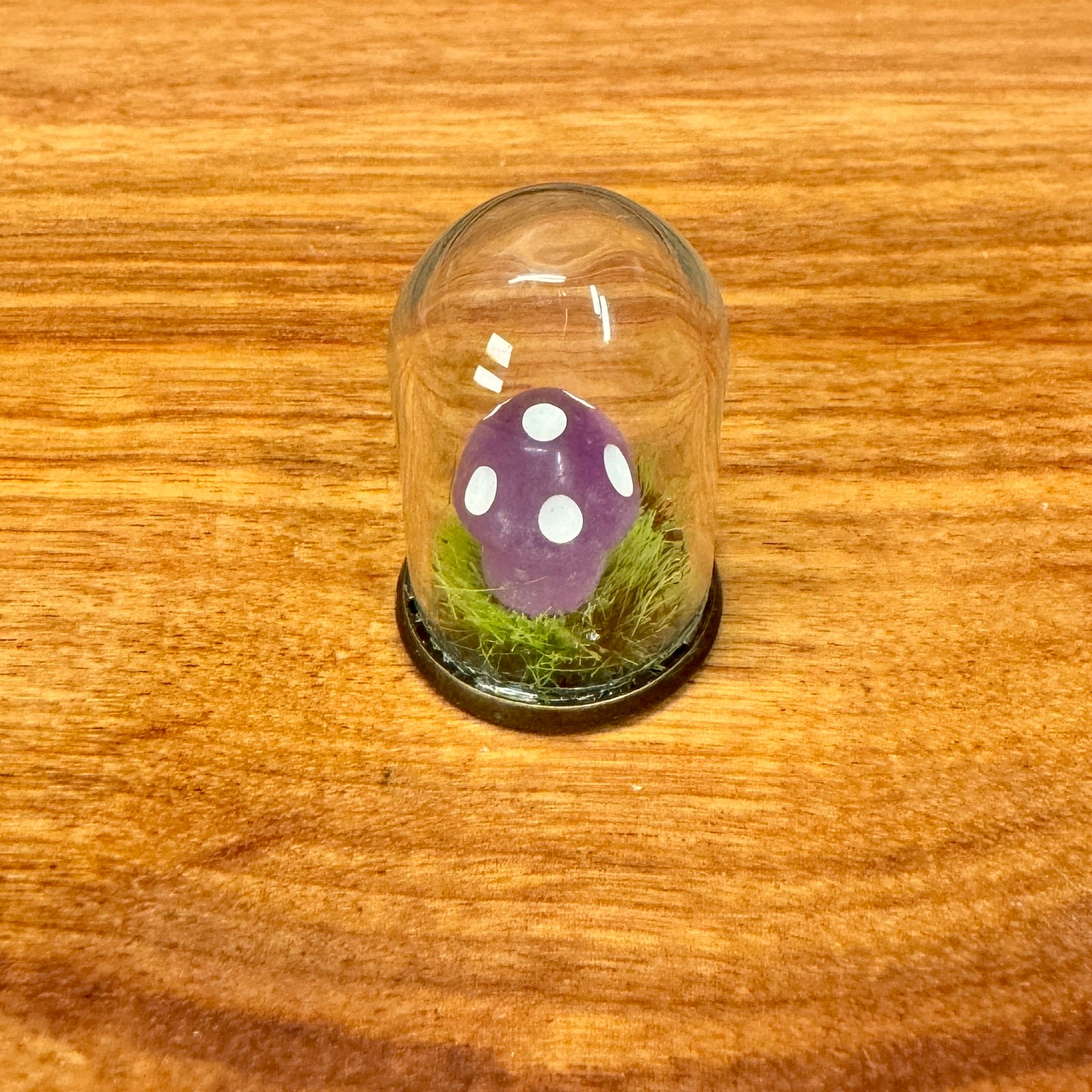 Tiny Glass Dome - Tiny Mushroom in grass