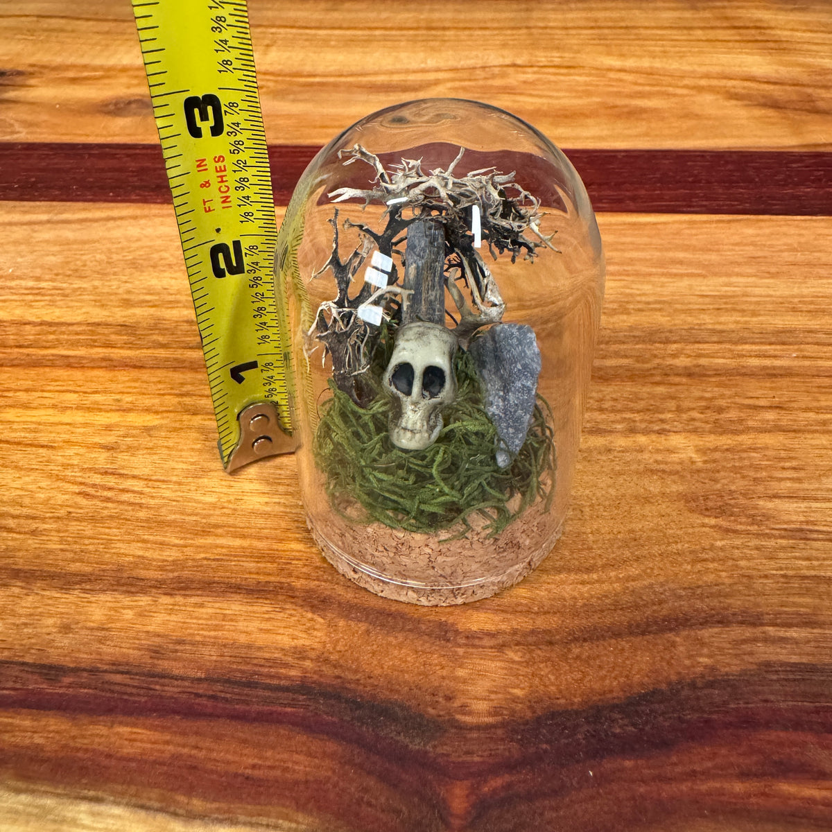 Small Glass Dome - Crystals and Skull