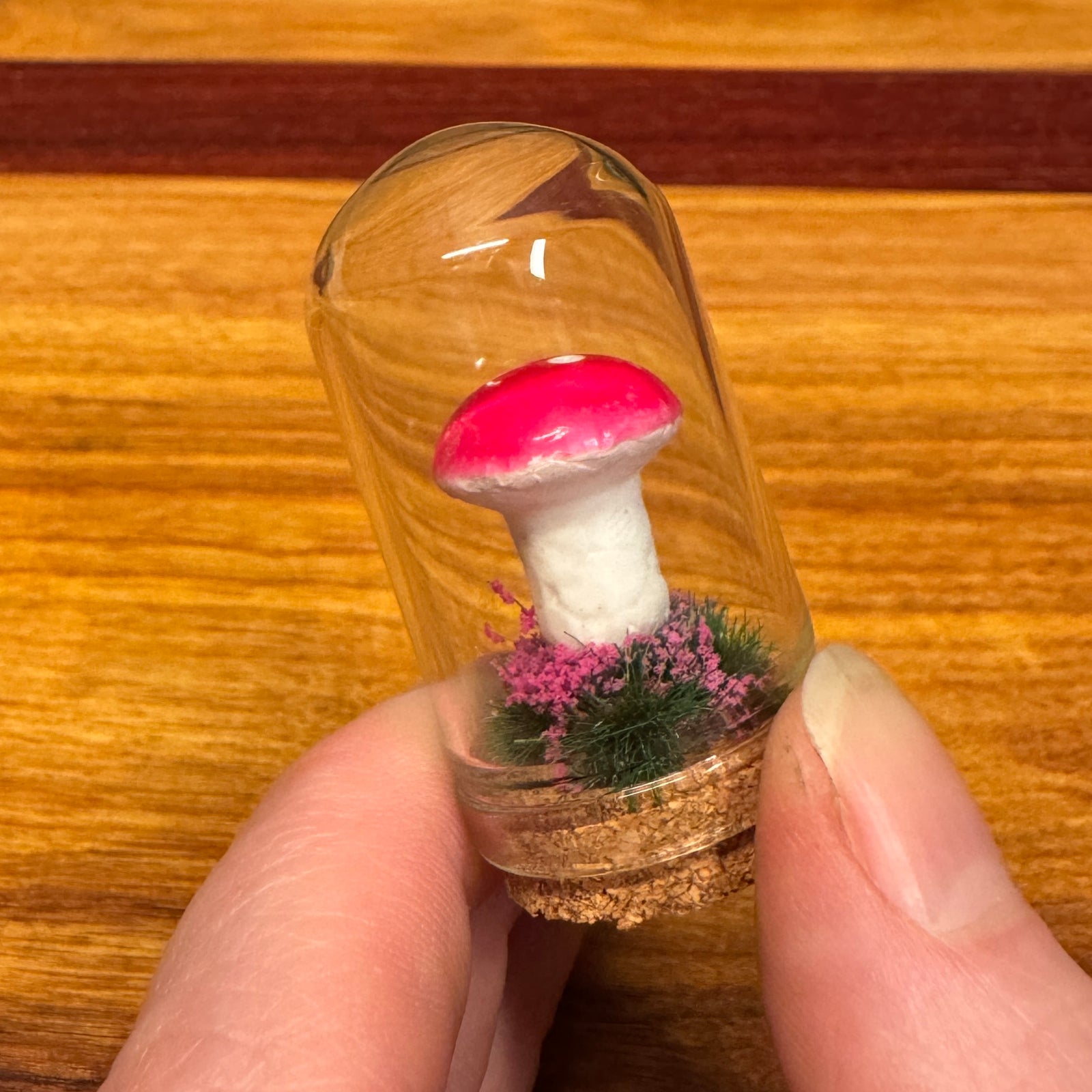 Little Glass Dome - mushroom on cork