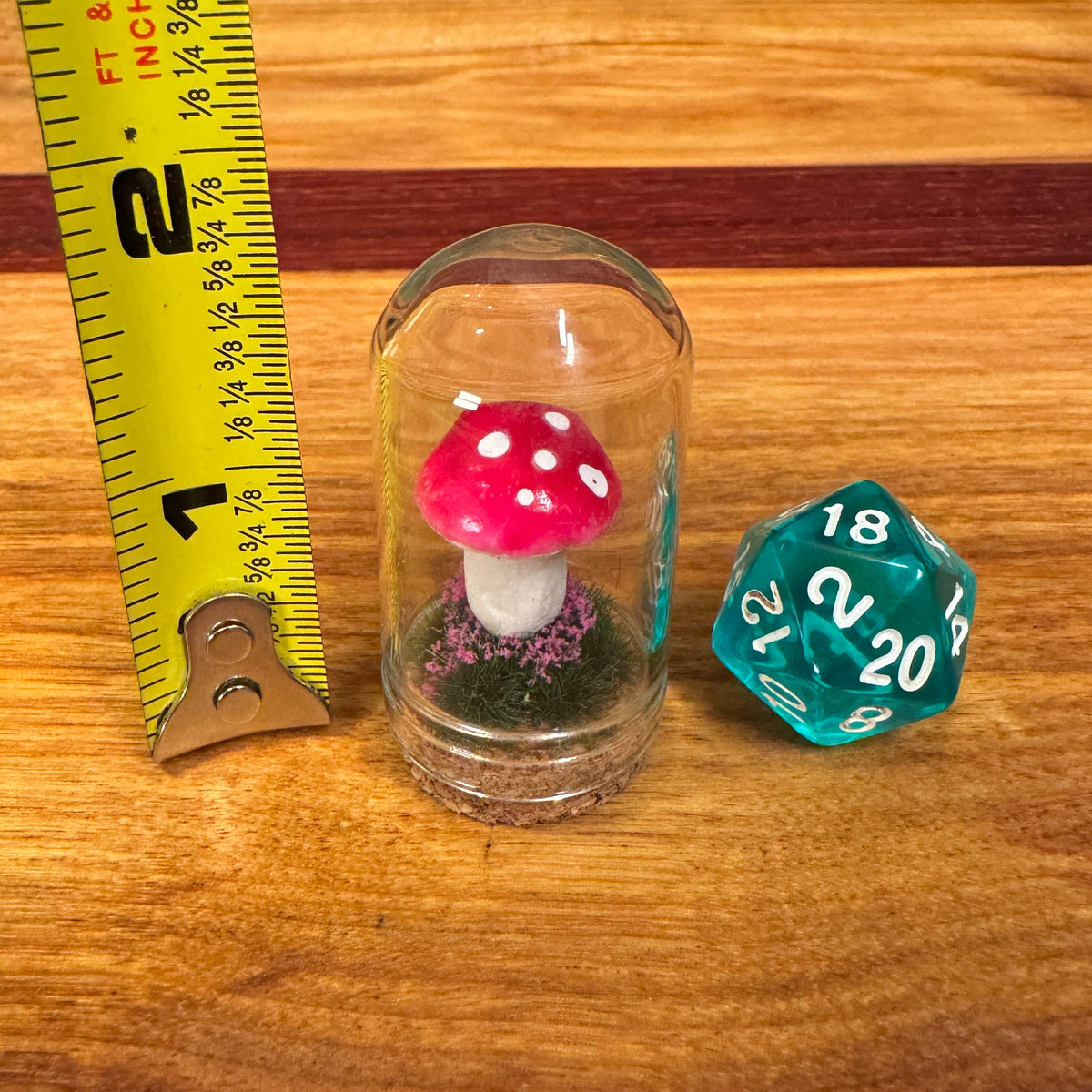 Little Glass Dome - mushroom on cork
