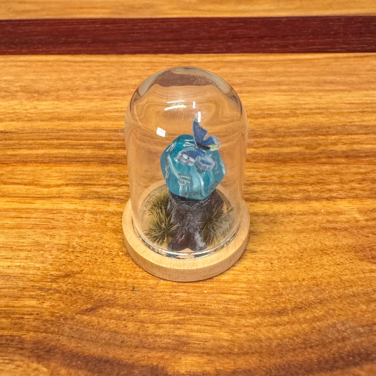 Little Glass Dome - Mini D20 on a stump