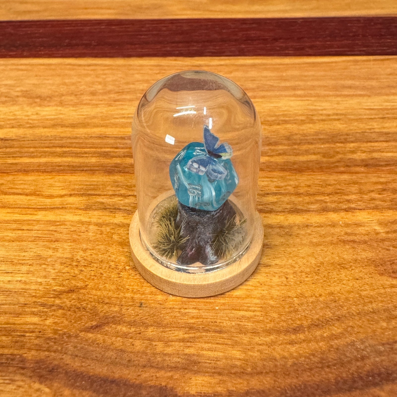 Little Glass Dome - Mini D20 on a stump