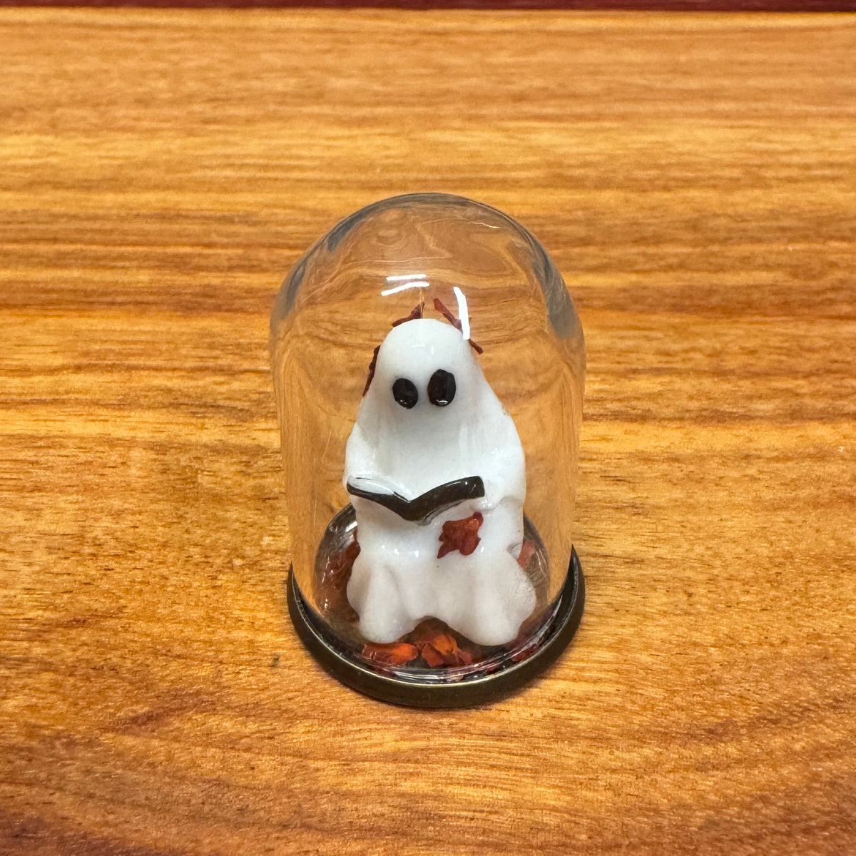 Tiny Glass Dome - Reading Ghost