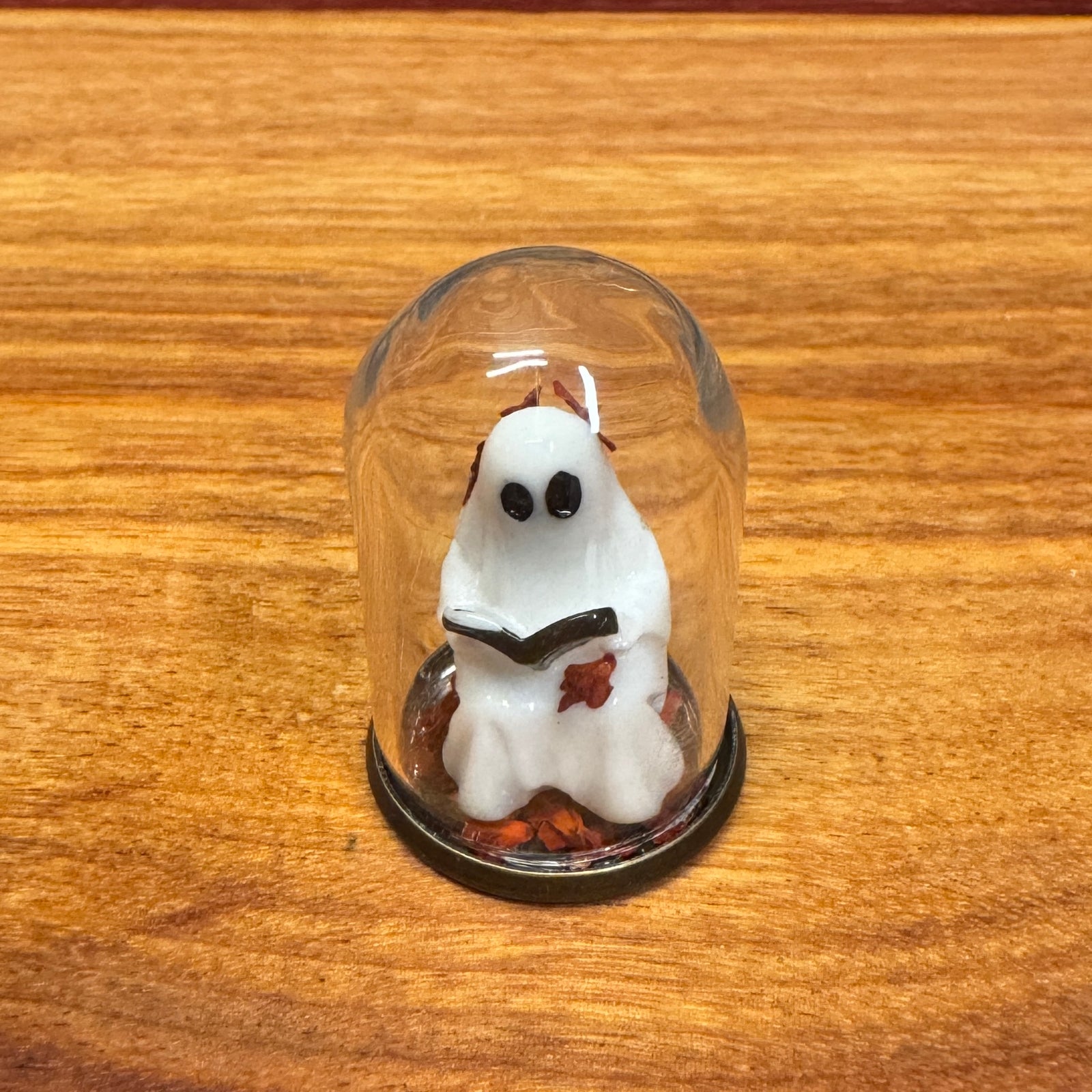 Tiny Glass Dome - Reading Ghost