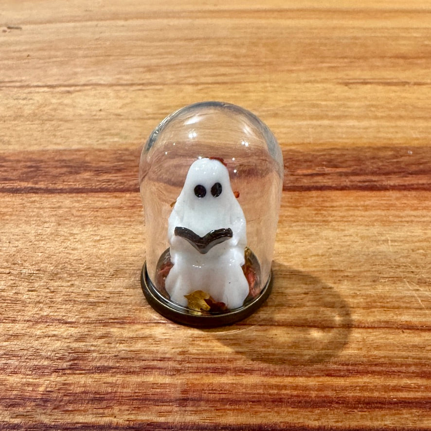 Tiny Glass Dome - Reading Ghost