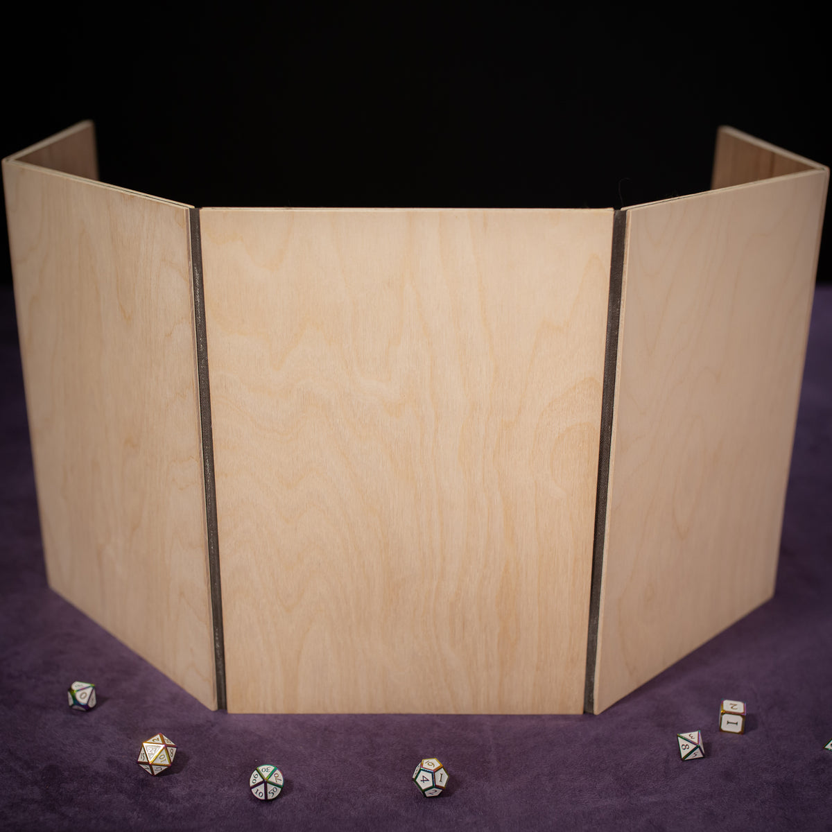 Dungeon Master / Game Master Screen