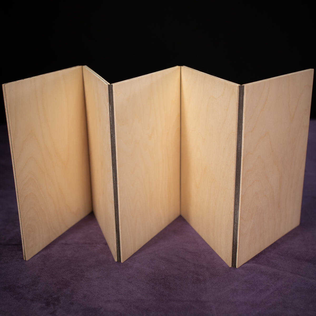 Dungeon Master / Game Master Screen