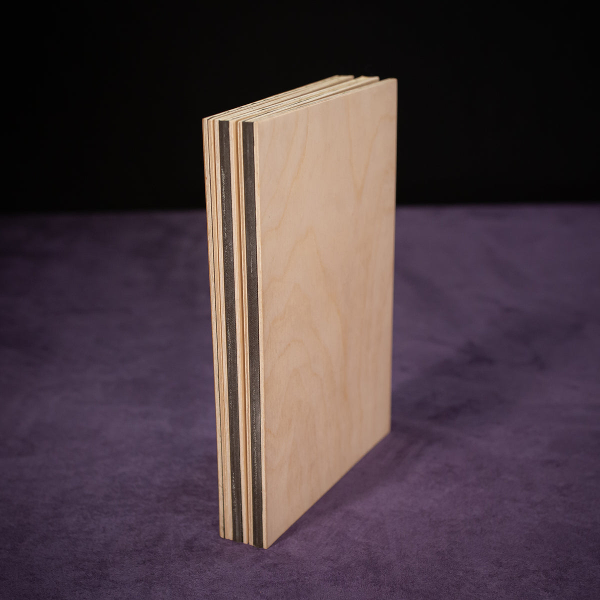 Dungeon Master / Game Master Screen